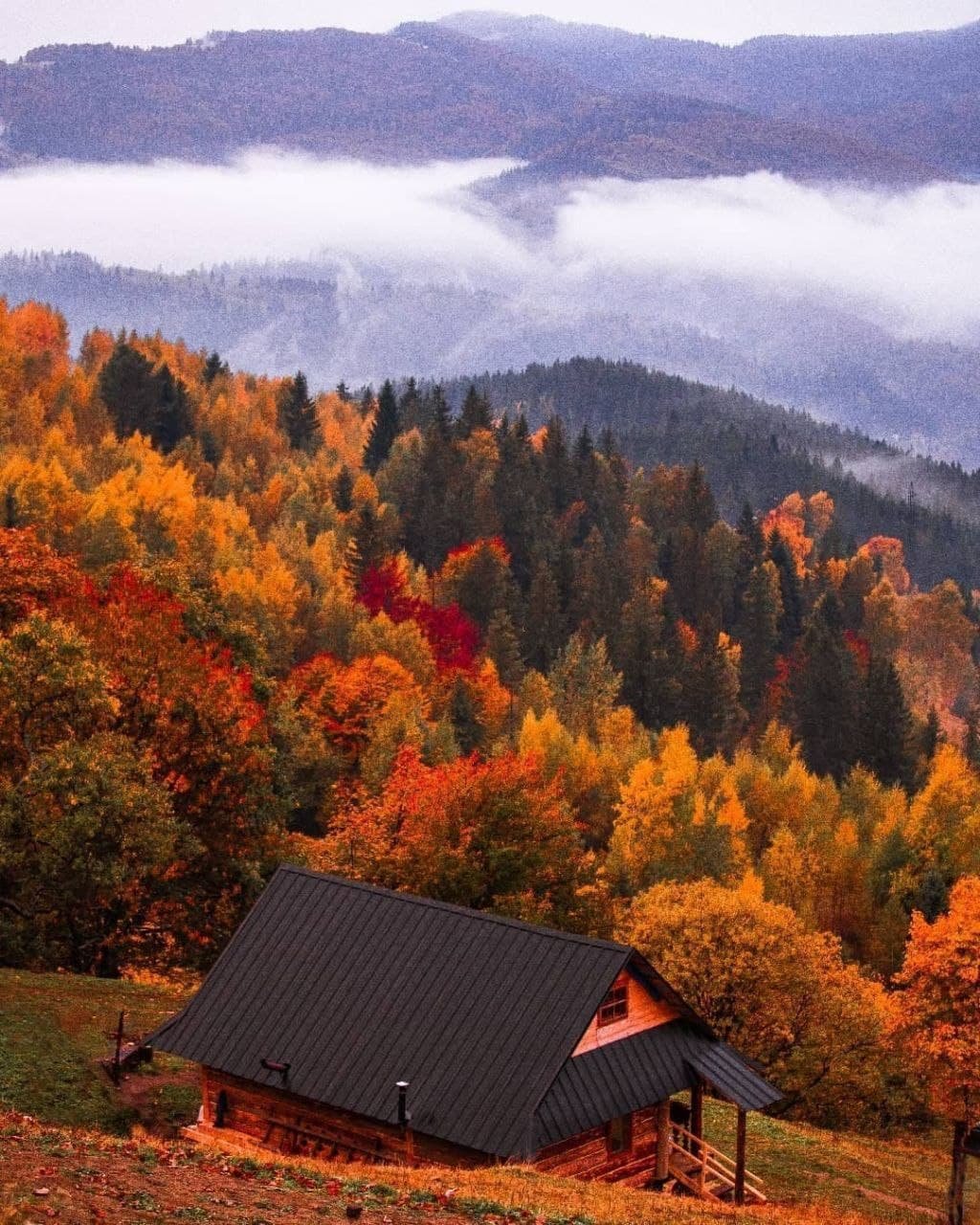 Осінні Карпати під час туру з Луцька