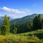 Тури на Говерлу з Луцька